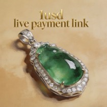 1usd Live payment link
